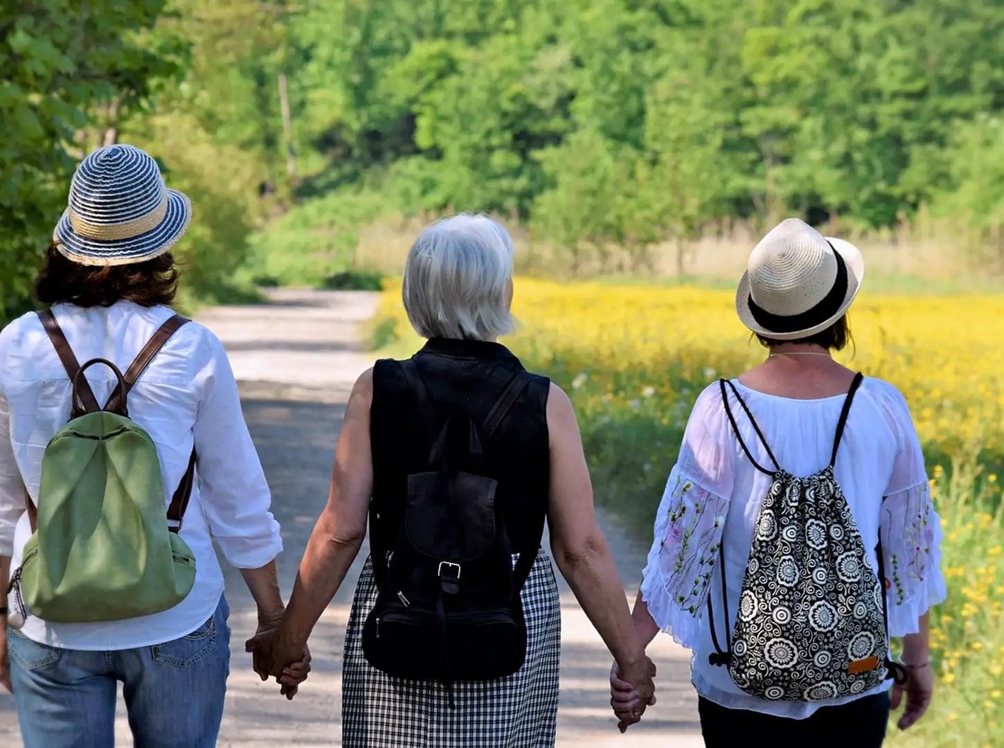 menopausia shao fu acupuntura y MTC